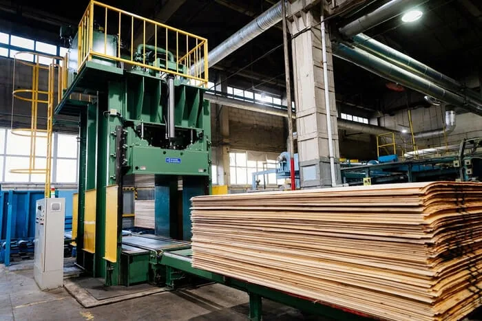 Stacked wood veneers in front of large green pressing equipment.