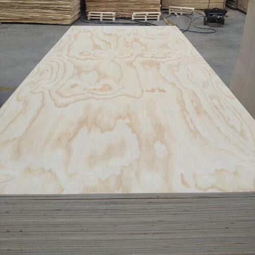 Pine Plywood