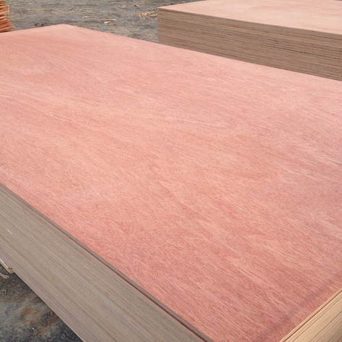 Bintangor Plywood